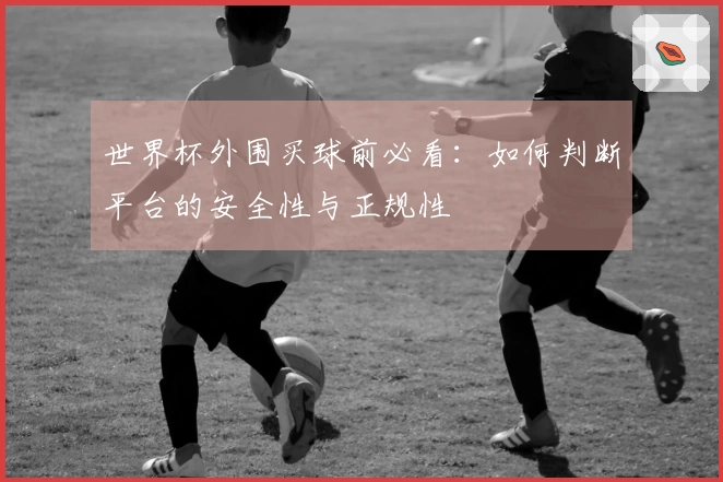 世界杯外围买球前必看：如何判断平台的安全性与正规性