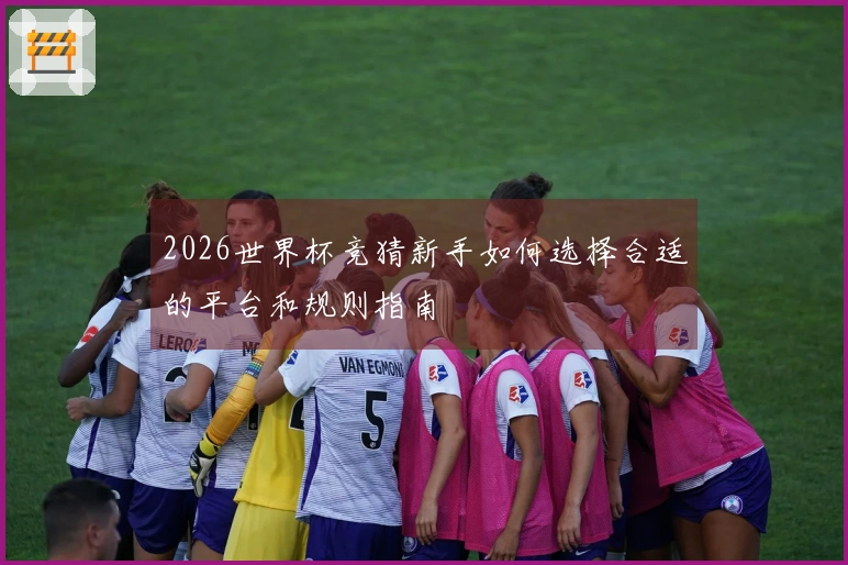 2026世界杯竞猜新手如何选择合适的平台和规则指南