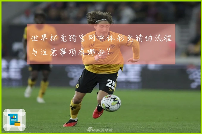 世界杯竞猜官网中体彩竞猜的流程与注意事项有哪些？