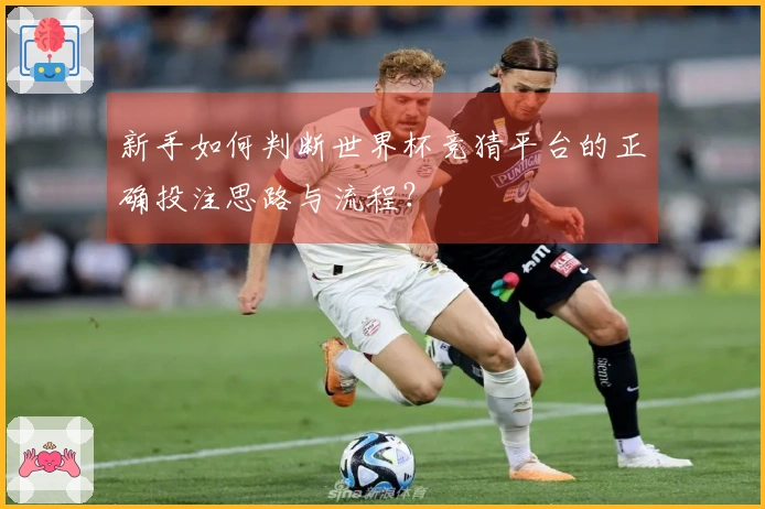 新手如何判断世界杯竞猜平台的正确投注思路与流程？