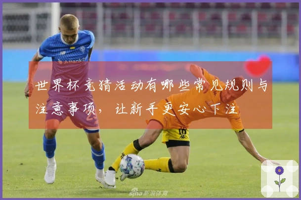 世界杯竞猜活动有哪些常见规则与注意事项，让新手更安心下注