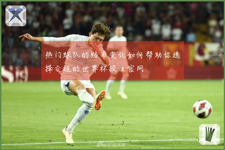 热门球队的赔率变化如何帮助你选择合适的世界杯投注官网