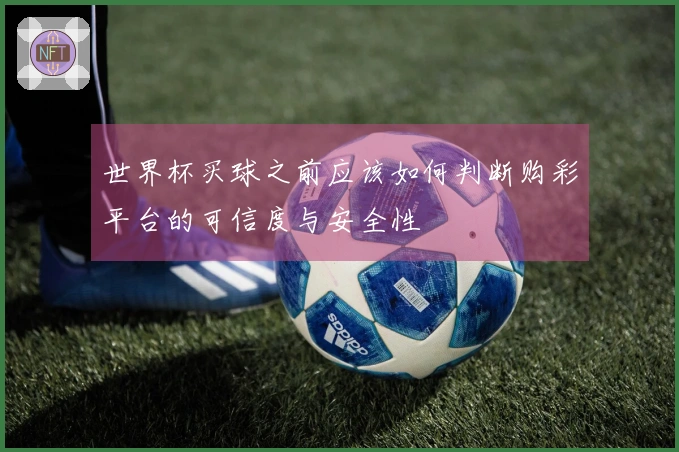 世界杯买球之前应该如何判断购彩平台的可信度与安全性